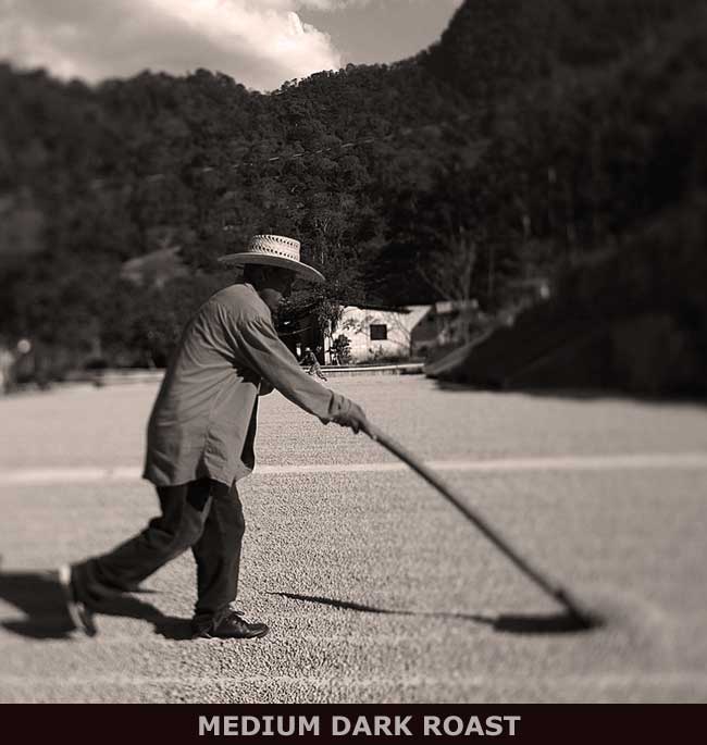 Guatemala Dry Processing - raking coffee beans